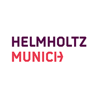 Institute of Diabetes Research at Helmholtz Munich Logo